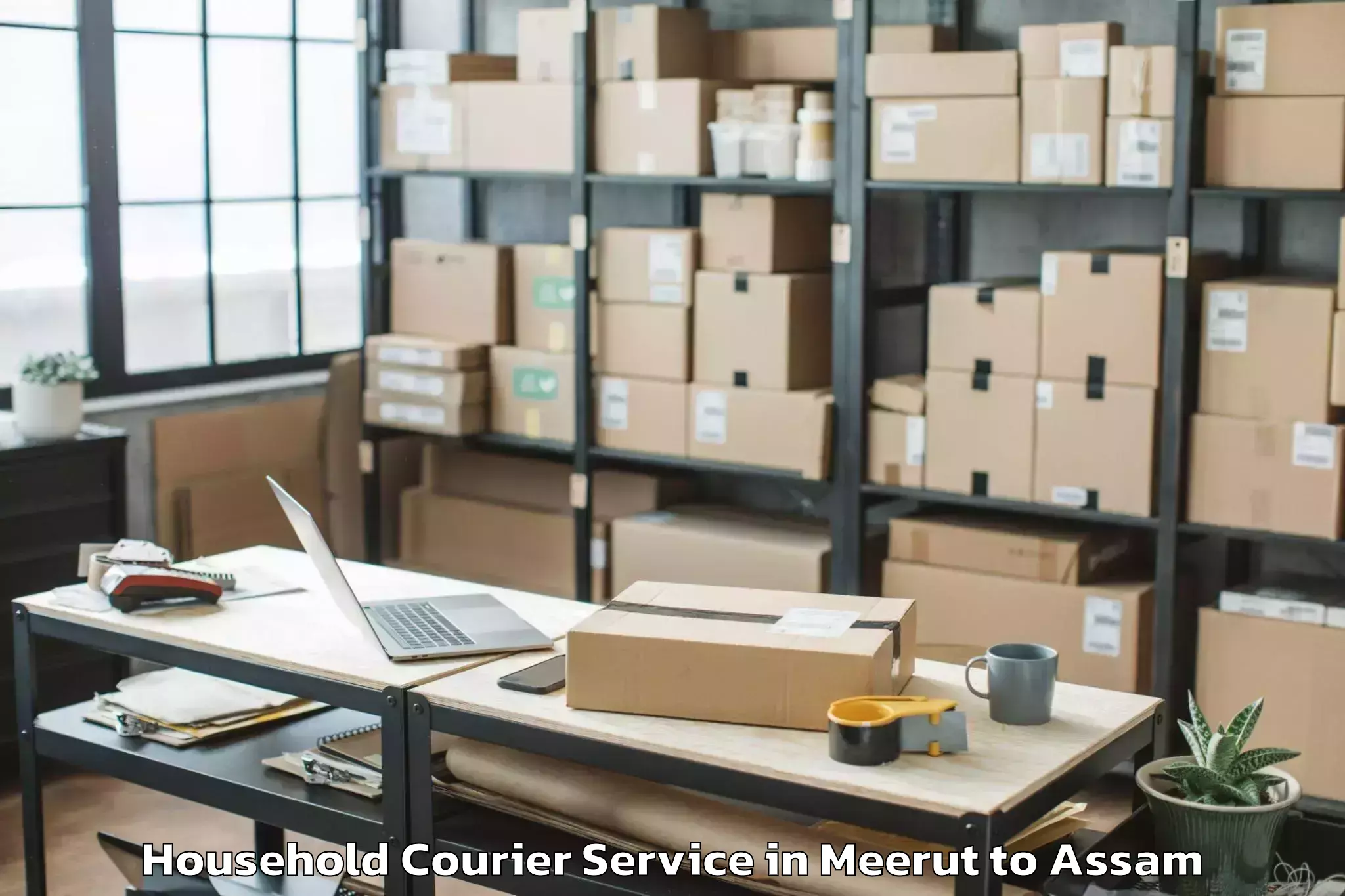 Professional Meerut to Jamugurihat Household Courier